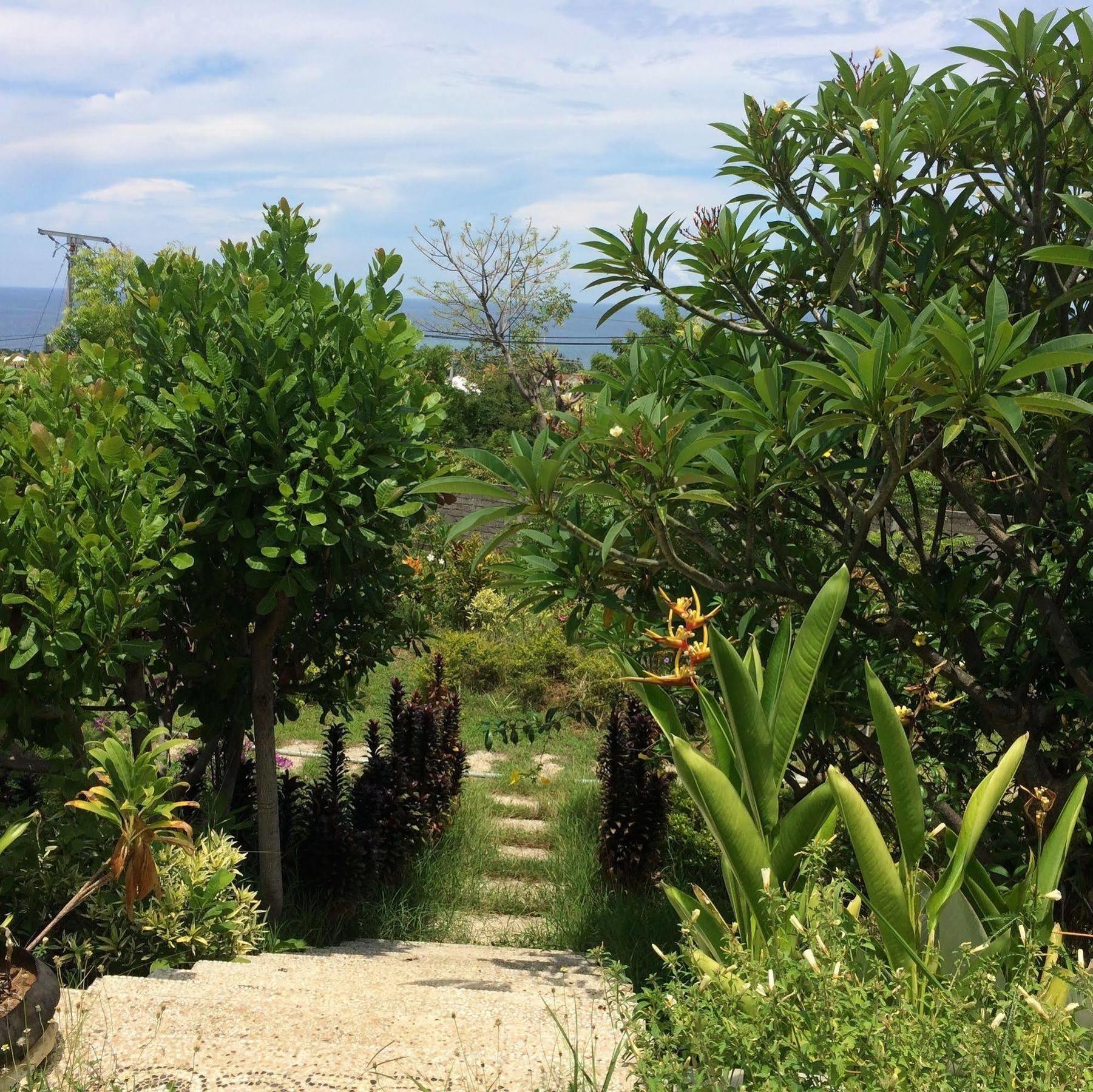 Bali Natur Lovina Exterior foto