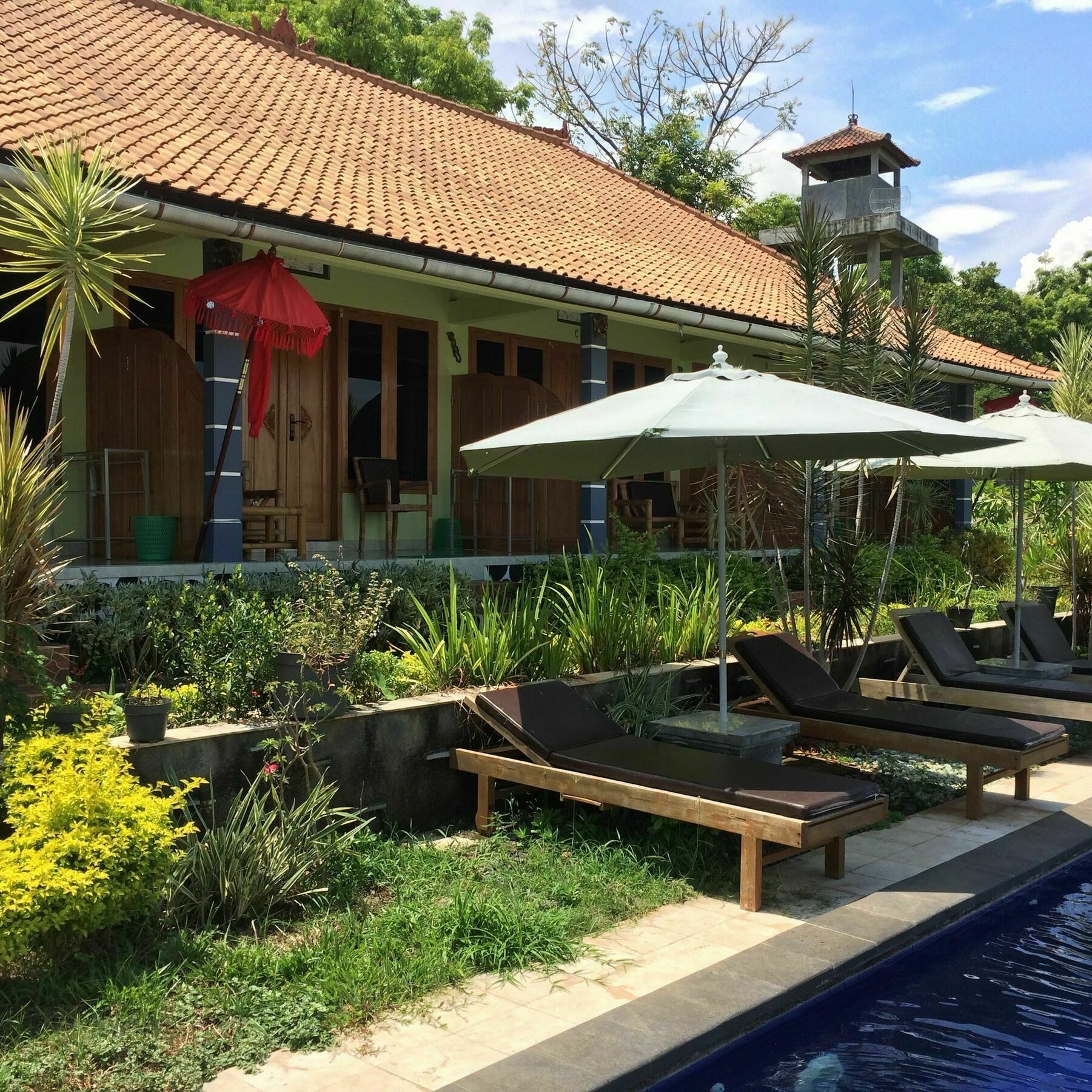 Bali Natur Lovina Exterior foto