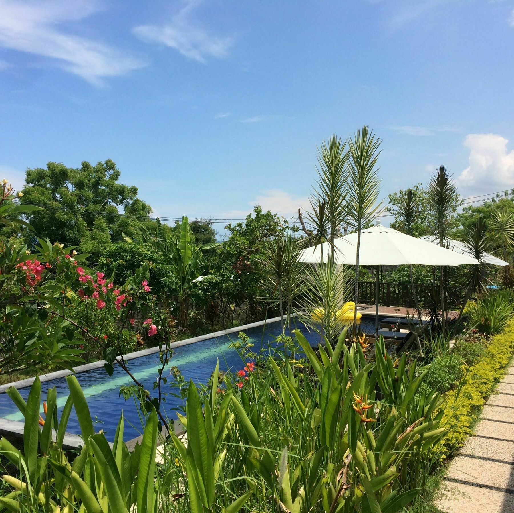Bali Natur Lovina Exterior foto