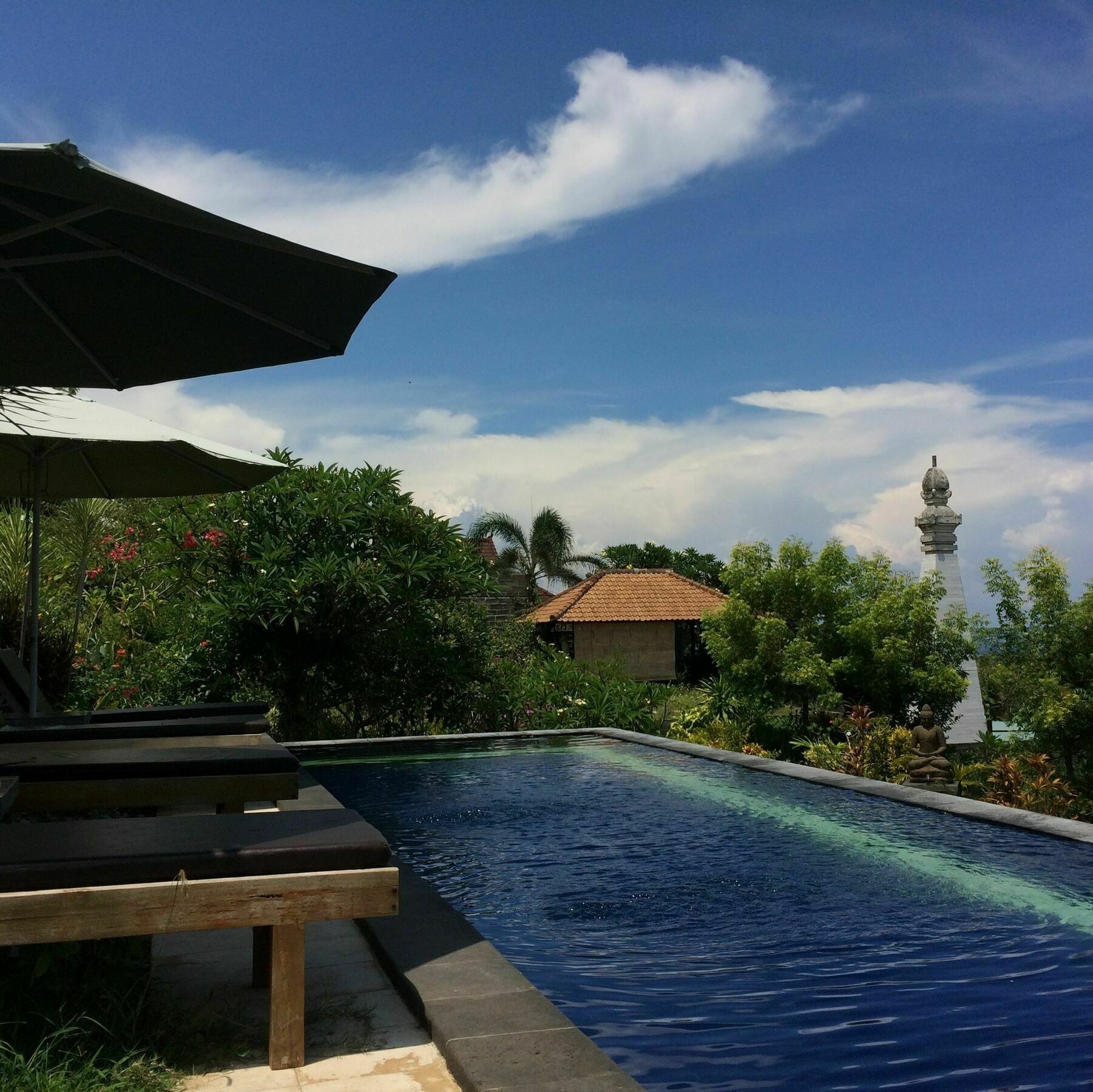 Bali Natur Lovina Exterior foto